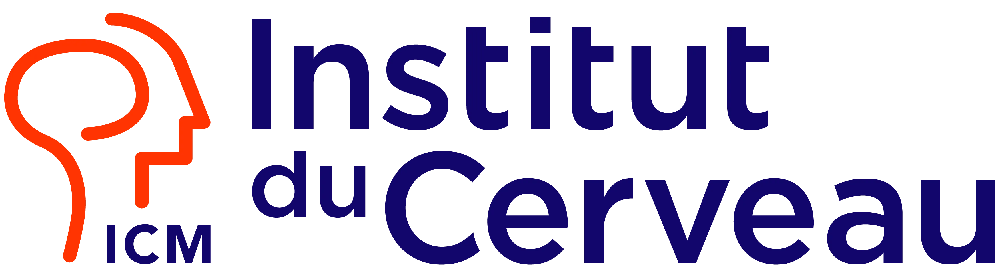 Institut du Cerveau